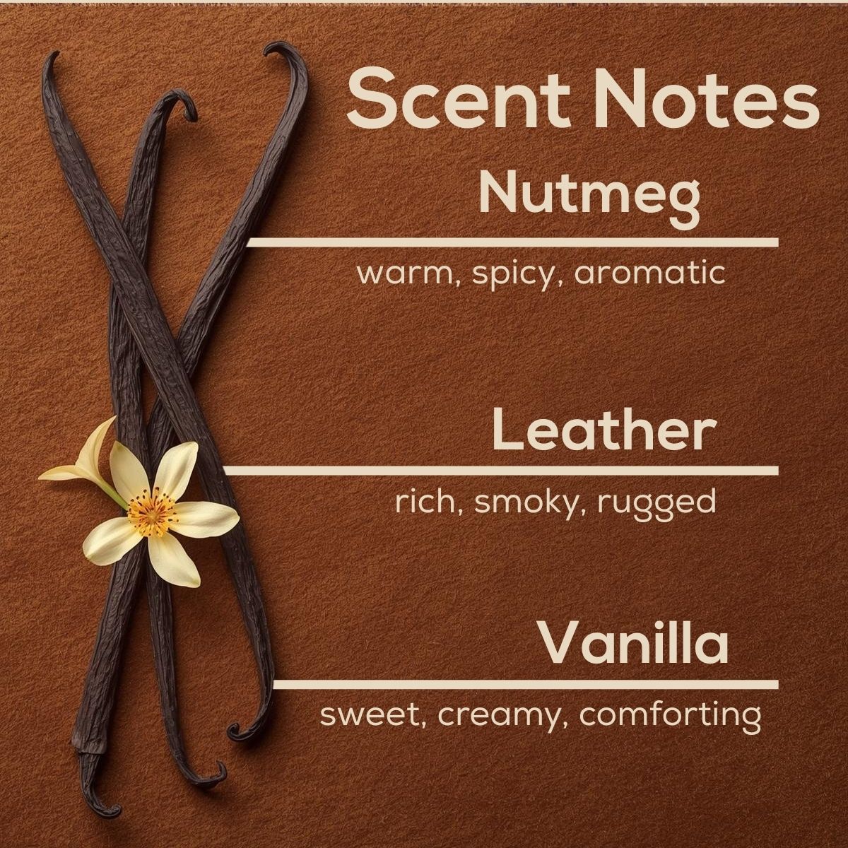 Scent Notes graphic with vanilla beans and a white flower on a suede-textured background, listing fragrance notes of nutmeg, leather, and vanilla with descriptive scent qualities.