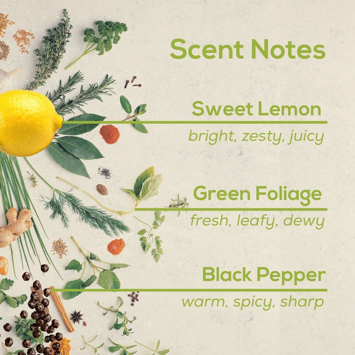 Scent notes graphic with lemon, herbs, greenery, and black peppercorns on a light background, listing fragrance notes: Sweet Lemon—bright, zesty, juicy; Green Foliage—fresh, leafy, dewy; Black Pepper—warm, spicy, sharp.