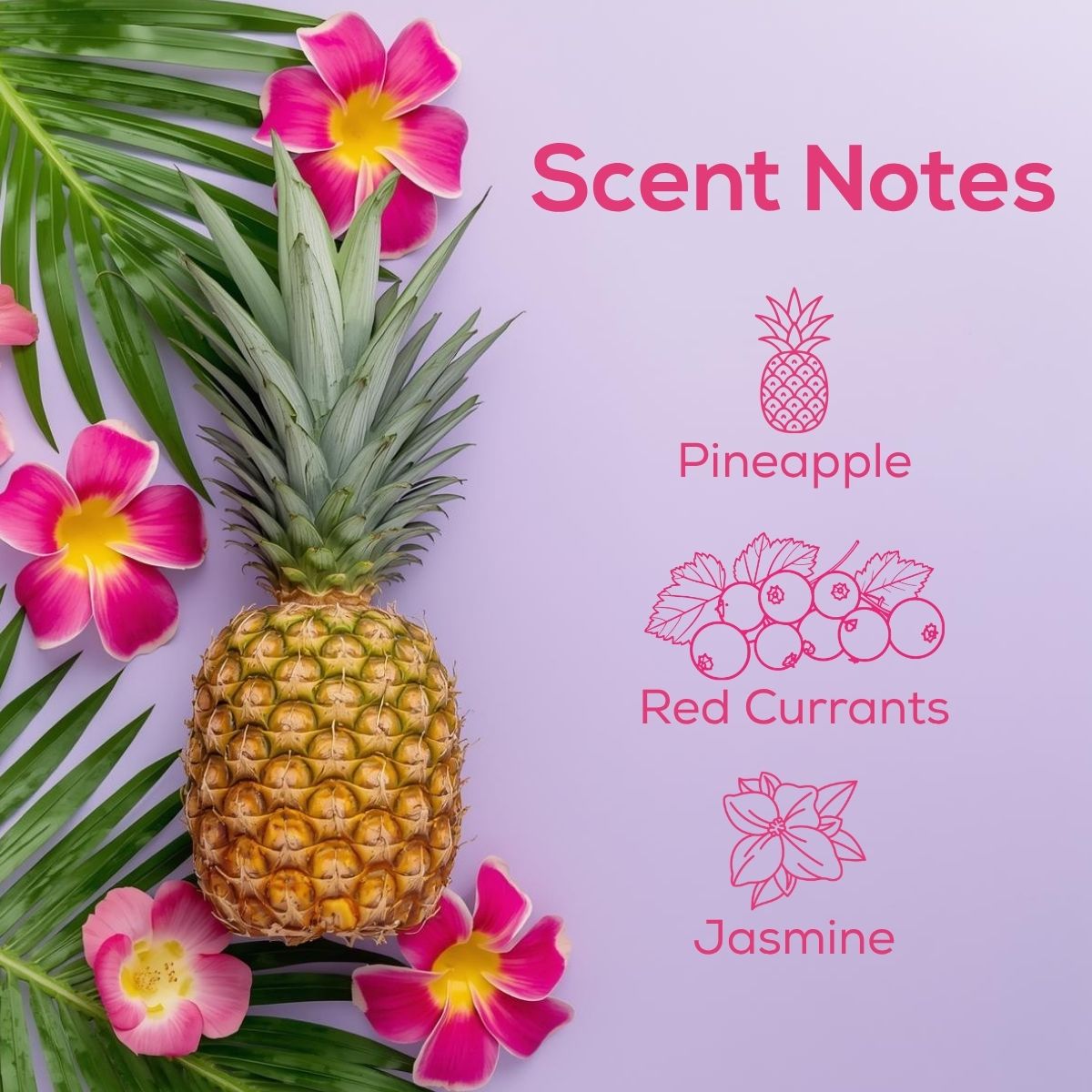 Pineapple & Floral scent notes graphic featuring pineapple, tropical flowers, and notes of pineapple, red currants, and jasmine.