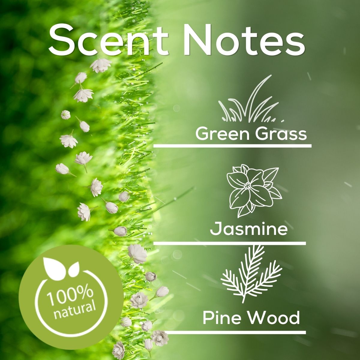 Scent notes with green grass, jasmine, and pine wood on a green background