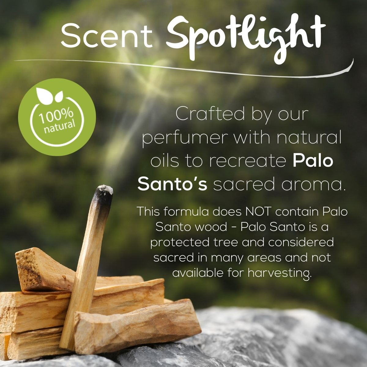 Scent Spotlight graphic with stacked palo santo wood and a smoking stick, highlighting a 100% natural formula crafted to recreate palo santo’s sacred aroma without using palo santo wood.