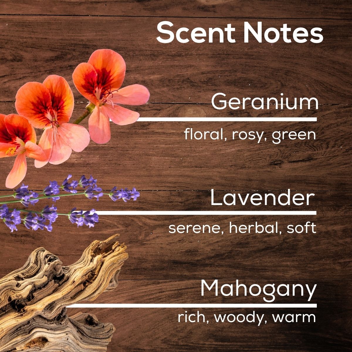 Scent Notes graphic on a wood background featuring geranium flowers, lavender sprigs, and textured wood, listing fragrance notes of geranium, lavender, and mahogany with descriptive scent qualities.