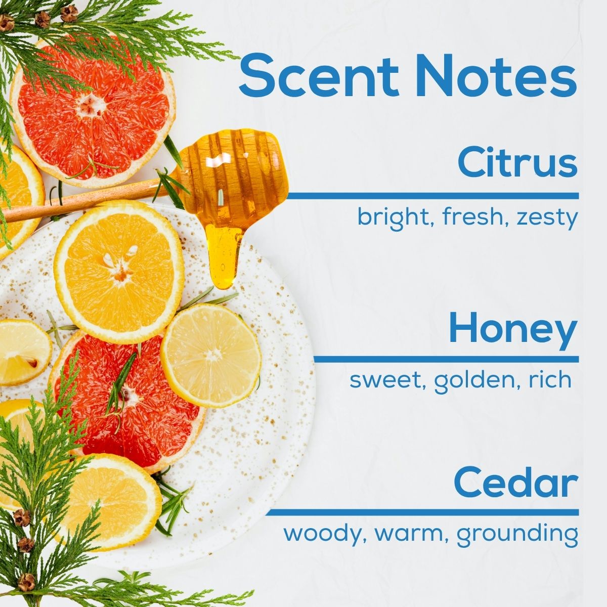 Dryer Fresh Plug in Air Freshener Refill