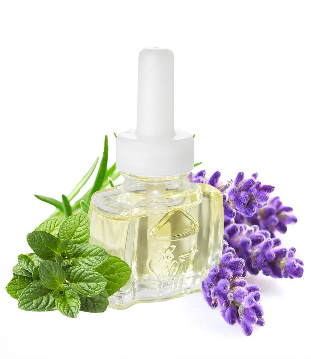 Air Wick Lavender Mint scented oil Plugin Refill