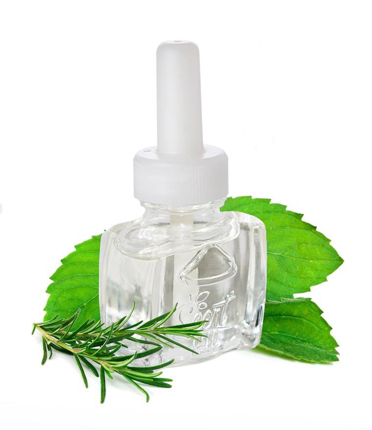 Peppermint and Rosemary plugin air freshener  