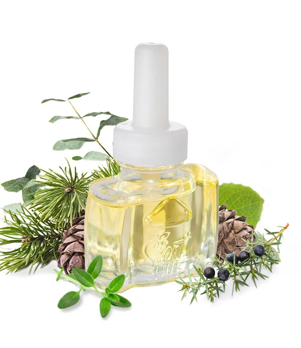 Fir Pine and Sycamore Scented Oil Refill for Glade Plugin Air Wick Plug in. Christmas tree scent