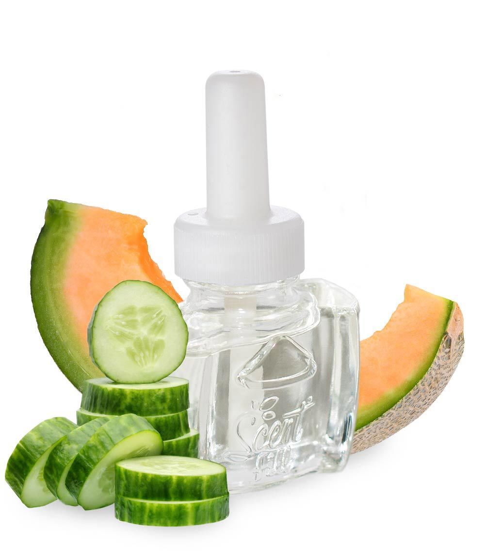 Cucumber Melon Plug in scented oil
